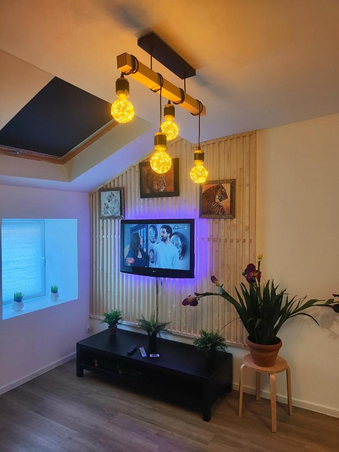 Les Lofts De Provins: Apt 1 Екстер'єр фото